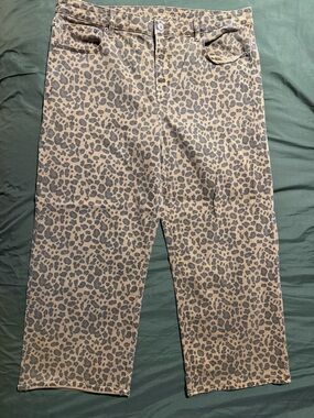 American Eagle Outfitters women’s  Leopard Print size 16